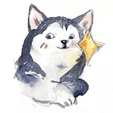 打啊打水漂的头像