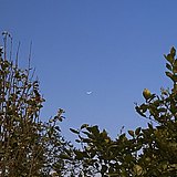 阿狗_的头像