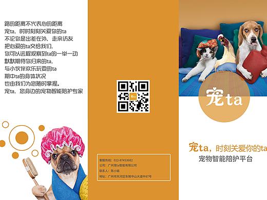 宠物三折页