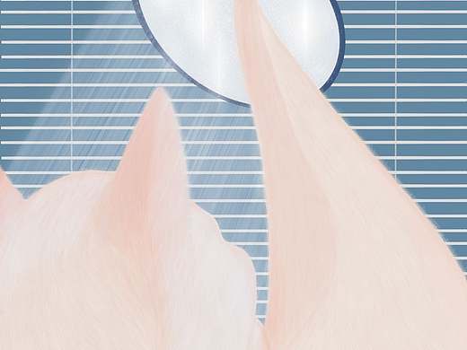 照貓鏡（個人主頁-ZMzUxMzk2MjA=） - 創(chuàng)作習(xí)作 - 站酷設(shè)計師立樹原創(chuàng)素材 - 站酷ZCOOL