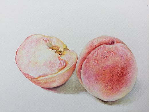 桃（个人主页-ZNTExMjIzNjQ=） - 绘画 - 站酷设计师潇核原创素材 - 站酷ZCOOL