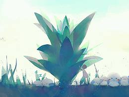午间小憩