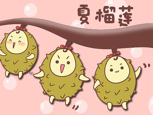 夏榴莲