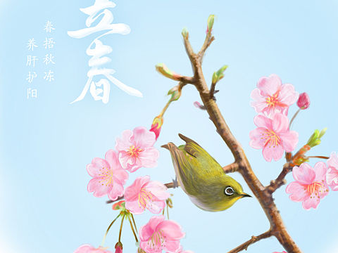 手绘节气海报-持续更新
