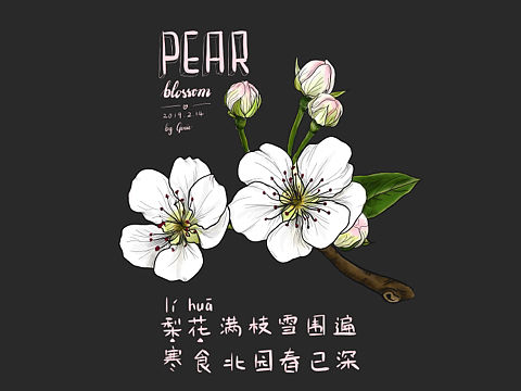 梨花