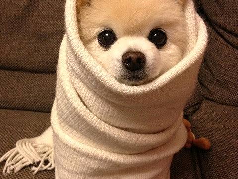 立体构成作品展