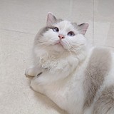 辛一一的头像