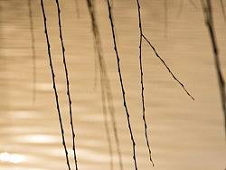 【摄影】春归北海（个人主页-ZMTkwNDA2MA==） - 风光摄影 - 站酷设计师phey原创素材 - 站酷ZCOOL