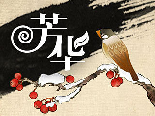 《如梦芳华，为君而歌》华为手机主题补充界面