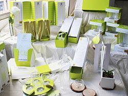 毕业设计——“漫生活”玻璃杯系列化包装设计