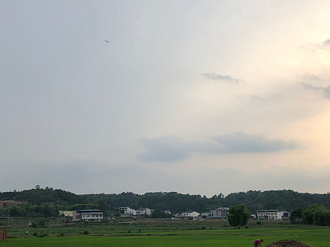 田原