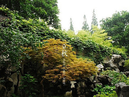 立秋（个人主页-ZMTc2MTMyOTI=） - 海报 - 站酷设计师九阳知食原创素材 - 站酷ZCOOL