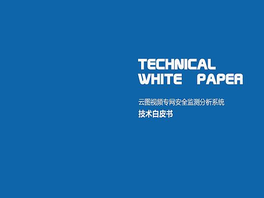 技术白皮书——云盾科技