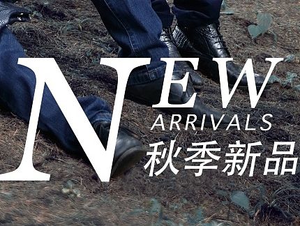 秋装新品上市