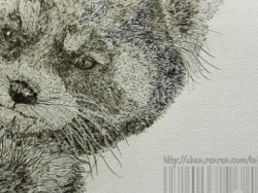 V浣熊——给文化衫画的基础图案