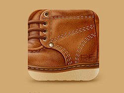 Icon Diary V