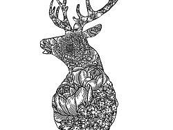 品牌插画平面设计