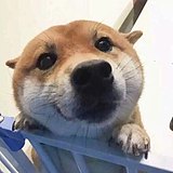 太阳颖的头像