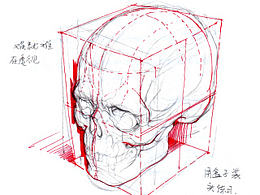 人物表情/动作/结构