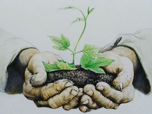 翻了翻近期的和以前的旧画…