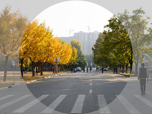 秋的校園（個(gè)人主頁-ZMTg5NTA5MzY=） - 風(fēng)光攝影 - 站酷設(shè)計(jì)師馬里奧先生_原創(chuàng)素材 - 站酷ZCOOL