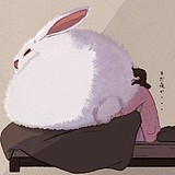 花时lI的头像