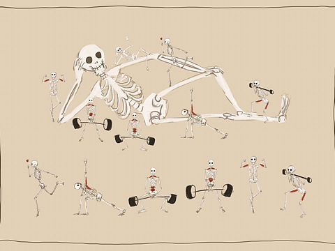 骨骼健身图