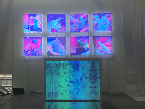 大连鲁美视觉传达毕业展