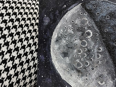 月球肌理画
