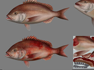 2012年（个人主页-ZMzc1NTc3Ng==） - 动画/影视 - 站酷设计师恋恋挖掘机原创素材 - 站酷ZCOOL