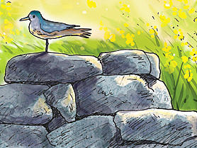 《青年文摘》彩版插画