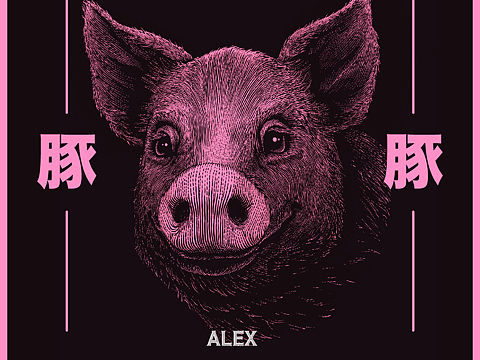 合作插画｜PINKPIG