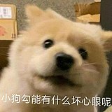 牛排记得五分熟的头像