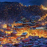 七月不长大的头像