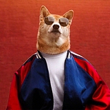 冬至四号的头像
