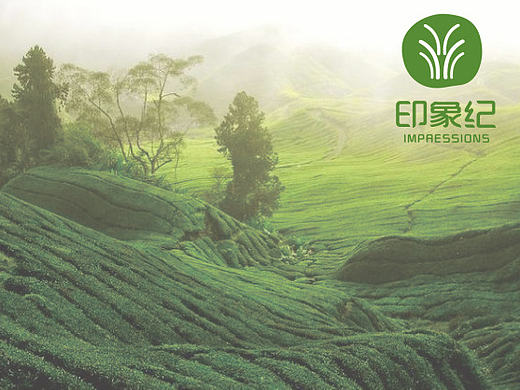 一个名为"印象纪”的绿色生态企业