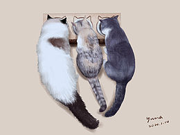 插画作品 三只猫