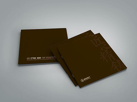 地产品牌画册 楼书