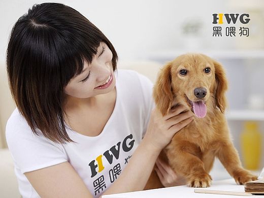 宠物清洗服务logo