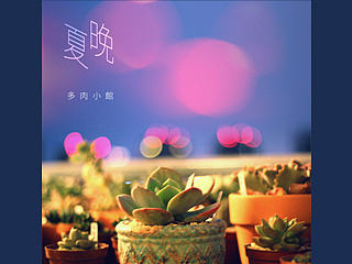 记好盆友的多肉小馆{欢乐二三事}（个人主页-ZMzcxMjM1Ng==） - 产品摄影 - 站酷设计师小脑粘人原创素材 - 站酷ZCOOL