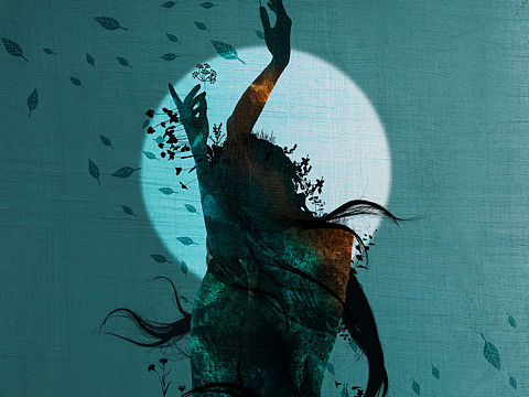 Silhouette 