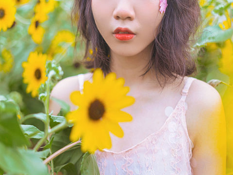 2019年夏天的第一组向日葵