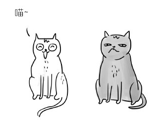 白猫与黑猫