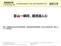 昙花一瞬间，暖流涌人心