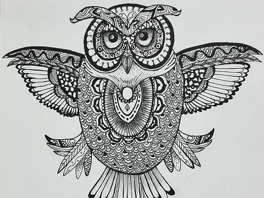 猫头鹰 线稿画 插画 素描