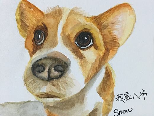 水彩手绘——我家所有爷