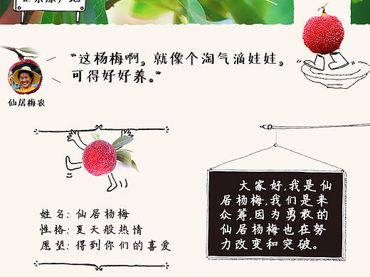 淘宝众筹 杨梅