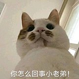Add文的头像