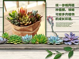 微信推广页面设计－－田园风格咯