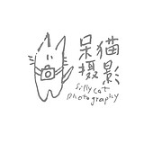 呆猫摄影的头像